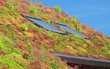 Lower Hook living roof systems