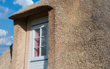 Lower Hook thatch roof disadvantages